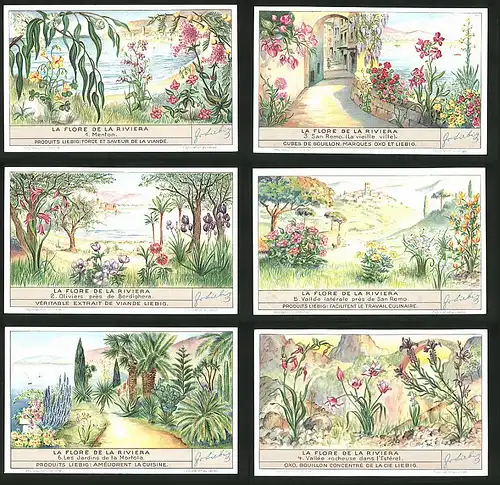 6 Sammelbilder Liebig, Serie Nr.: 1354, La Flora de la Riviera, Pflanzen, Menton, San Remo, Palme