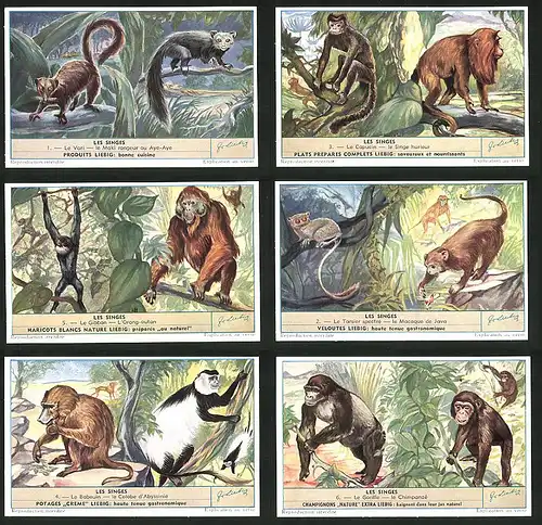 6 Sammelbilder Liebig, Serie Nr.: 1604, Les Singes, Affen, Gorilla, Schimpanse, Makake, Orang-Utan, Aye-Aye