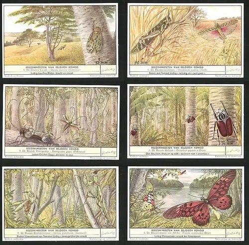 6 Sammelbilder Liebig, Serie Nr.: 1644, Reuzeninsecten van Belgisch Kongo, Schmetterling, Papilio, Gottesanbeterin
