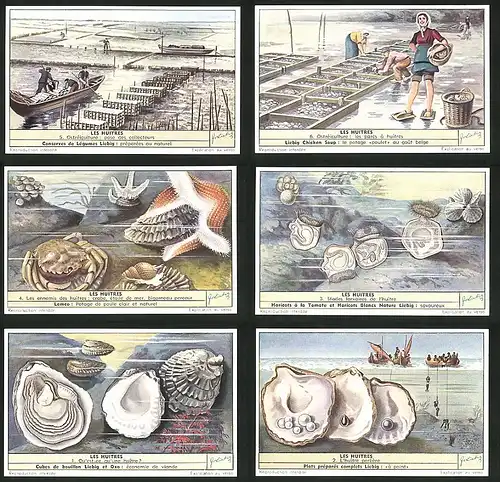 6 Sammelbilder Liebig, Serie Nr.: 1596, Les Huitrers, Austern, Perlen, Fischer, Krabbe