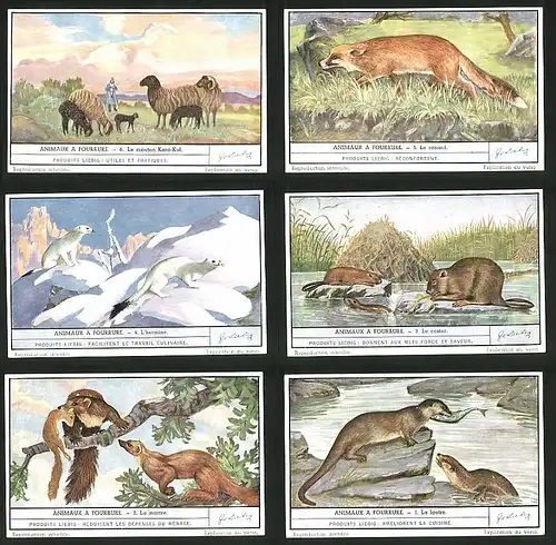 6 Sammelbilder Liebig, Serie Nr.: 1486, Animaux a Fourrure, Loutre, Martre, Castor, L`hermine, Renard, Mouton Kara-Kul