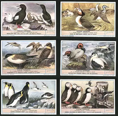 6 Sammelbilder Liebig, Serie Nr.: 1634, Oiseaux Plongeurs, Puffin, Manchot, Fuligule, Lobbe, Guillemot