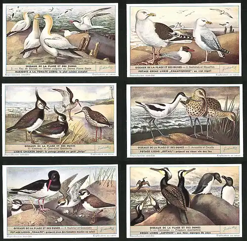 6 Sammelbilder Liebig, Serie Nr.: 1610, Oiseaux de la Plage et des Dunes, Cormoran, Pingouin, Gravelots, Courlis, Fou