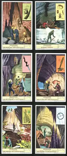 6 Sammelbilder Liebig, Serie Nr.: 1656, Speleologie, Plantkunde, Geologie, Meterologie, Palethnologie, Hydrologie