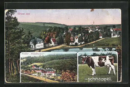 AK Kuhschnappel bei Hohenstein-Ernstthal, Restaurant und Café Waldfrieden, Kuh, Teilansicht