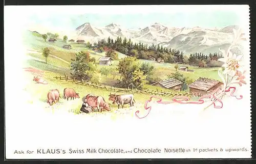 Lithographie Klaus`s Swiss Milk Chocolate, and Chocolate Noisette