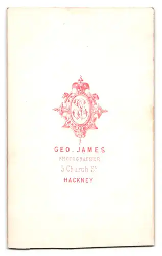 Fotografie Geo. James, Hackney, 5 Church St., Portrait Fräulein im bestickten Kleid mit Kreuzkette