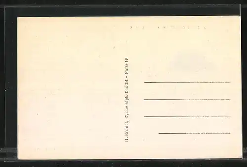 AK Tronchoy, Vue générale