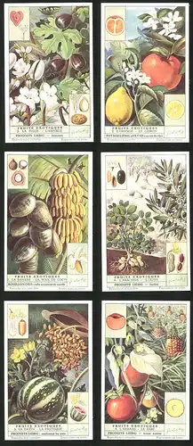 6 Sammelbilder Liebig, Serie Nr. 1537: Fruits Exotiques, Le Kaki, L`Ananas, La Datte, La Pasteque, L`Olive