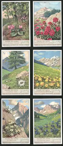 6 Sammelbilder Liebig, Serie Nr. 1335: Fleurs des Alpes, La Gentiane acaule, L`Edelweiss, La Carline acaule