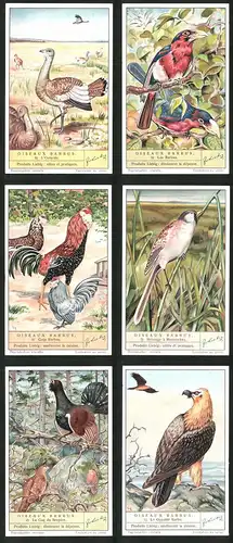 6 Sammelbilder Liebig, Serie Nr. 1408: Oiseaux Barbus, Le Gypaéte Barbu, Le Coq Bruyére, Mésange á Moustaches