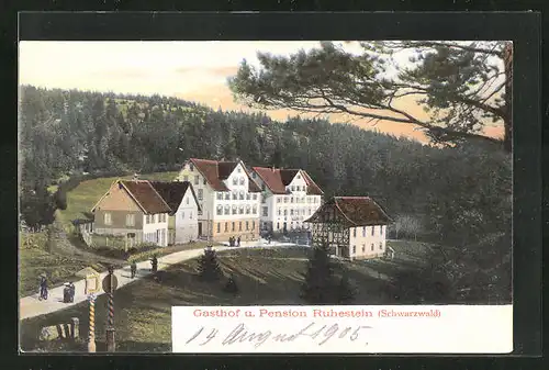 AK Ruhestein /Schwarzwald, Gasthof und Pension Ruhestein