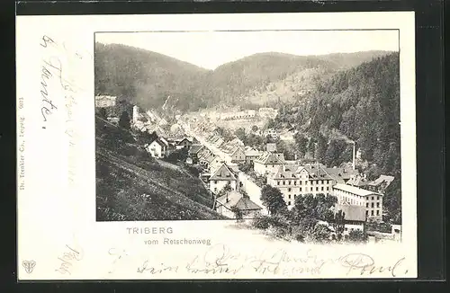 AK Triberg, Teilansicht vom Retschenweg aus gesehen