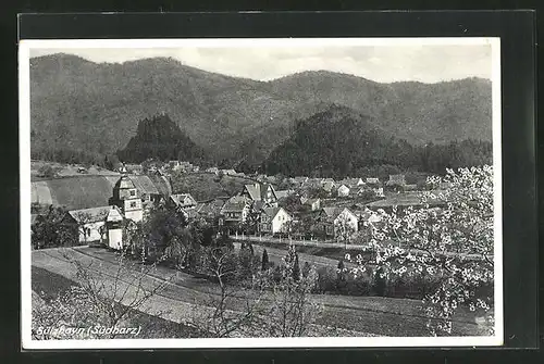 AK Sülzhayn / Südharz, Teilansicht