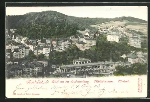AK Karlsbad, Blick von der Hubertusburg, Mühlbrunnen, Westend