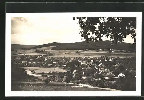 AK Jinetz / Jince, Ortsansicht mit Fernblick