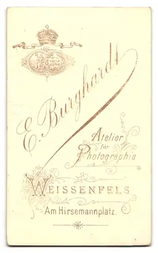 Fotografie E. Burghardt, Weissenfels, Am Hirsemannplatz, Portrait junger Mann im Anzug mit Krawatte