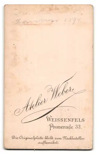 Fotografie Atelier Weber, Weissenfels, Promenade 33, Portrait junger Herr im Anzug mit Krawatte