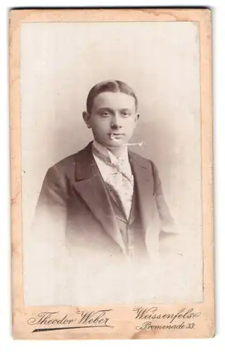 Fotografie Theodor Weber, Weissenfels, Promenade 33, Portrait junger Herr im Anzug mit Krawatte