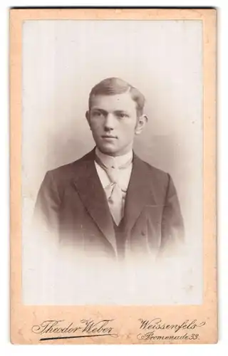 Fotografie Theodor Weber, Weissenfels, Promenade 33, Portrait junger Herr im Anzug mit Krawatte