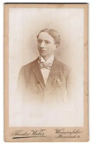 Fotografie Theodor Weber, Weissenfels, Promenade 33, Portrait junger Mann im Anzug mit Fliege