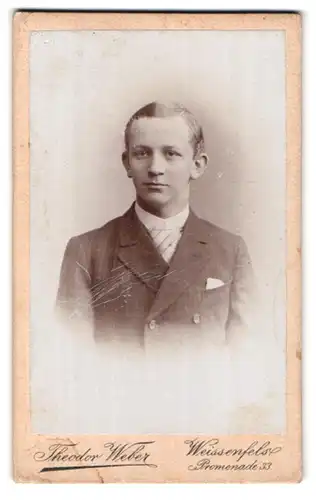 Fotografie Theodor Weber, Weissenfels, Promenade 33, Portrait junger Mann im Anzug mit Krawatte