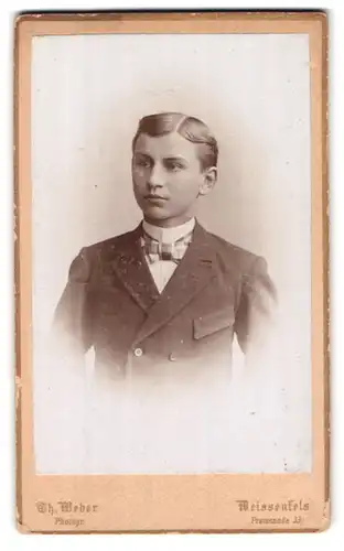 Fotografie Th. Weber, Weissenfels, Promenade 33, Portrait junger Mann im Anzug mit Krawatte