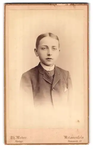 Fotografie Th. Weber, Weissenfels, Promenade 33, Portrait junger Mann im Anzug mit Krawatte