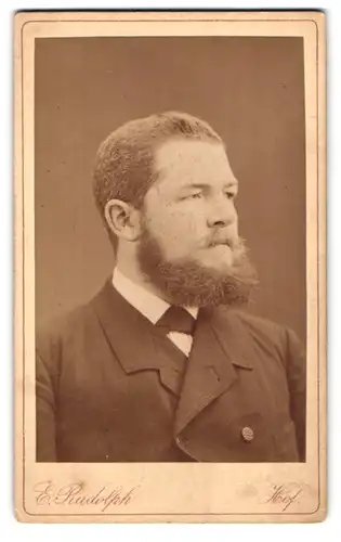 Fotografie E. Rudolph, Hof, Portrait junger Herr im Anzug mit Backenbart