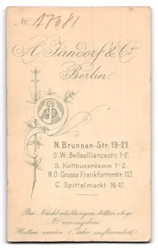 Fotografie A. Tandorf & Co., Berlin, N.Brunnen-Strasse 19-21, bürgerliche Dame griesgrämig dreinschauend