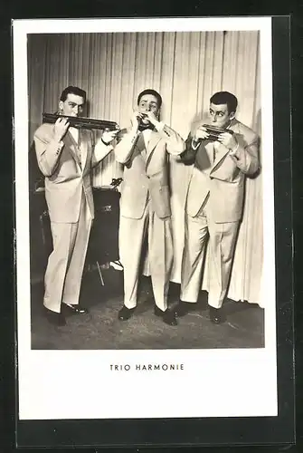 AK Musikergruppe Trio Harmonie