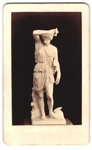 Fotografie Collection F.S. & Co., Amazone Mattei nach dem Bildhauer Phidias, Vatikanische Museen