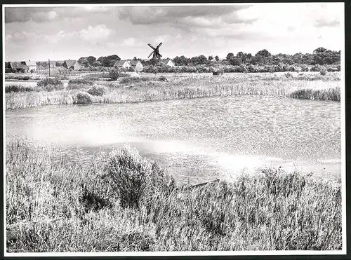 Fotografie Thomas A. Müller, Ammersbek, Dorf in der Lüneburger Heide mit Windmühle, Grossformat 39 x 29cm