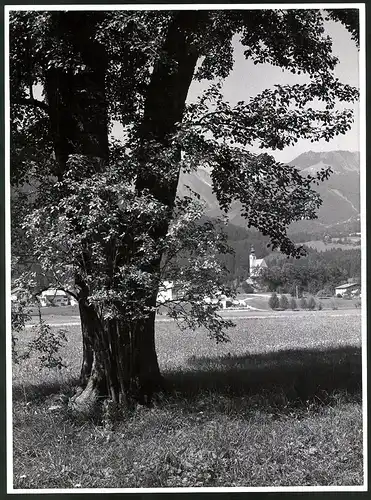 Fotografie Thomas A. Müller, Ammersbek, Ortschaft mit Kirche von einem Baum auf dem nahen Feld gesehen, 29 x 39cm