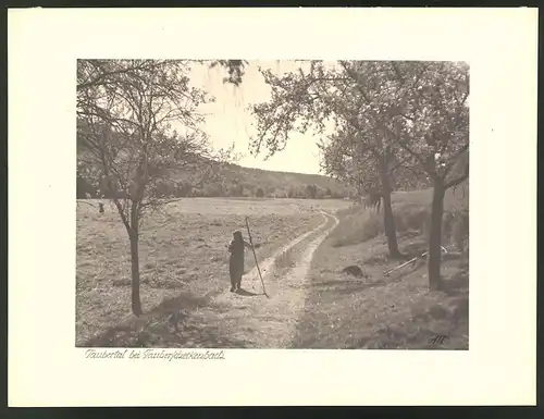 Fotografie Albin Müller, Hamburg, Ansicht Taubertal bei Tauberscheckenbach