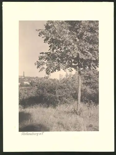 Fotografie Albin Müller, Hamburg, Ansicht Rothenburg o.d.T., Partie am Stadtrand