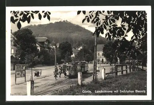 AK Görlitz, Landeskrone mit Endstation Biesnitz, Strassenbahn