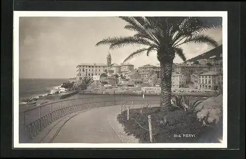 AK Nervi, Panorama