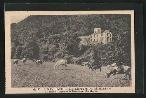 AK Les Pyrénées, Les Grottes de Bétharram, Le Hall de sortie et le Restaurant des Grottes, Höhle