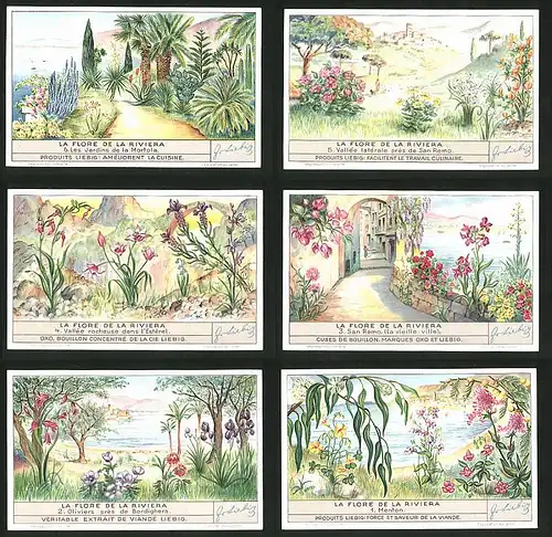 6 Sammelbilder Liebig, Serie Nr. 1354: La Flore de la Riviera, Menton, Oliviers, San Remo, Les Jardins de la Mortola