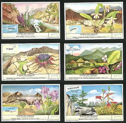 6 Sammelbilder Liebig, Serie Nr. 1672: Plantes peu Connues, Zauschneria Californica, Alstroemeria Violacea
