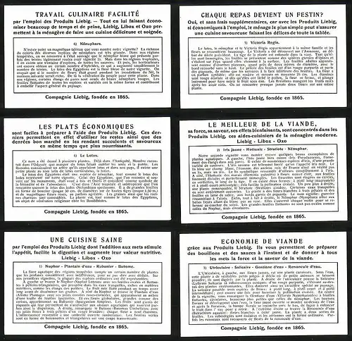 6 Sammelbilder Liebig, Serie Nr. 1329: La Beauté de la Flore Aquatique, Utriculaire, Salicaire, Nuphar, Butome, Nénuphar