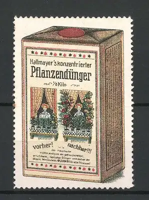 Reklamemarke Hallmayer's konzentrierter Pflanzendünger, Frau mit Blumen am Fenster, Vorher & Nachher-Vergleich