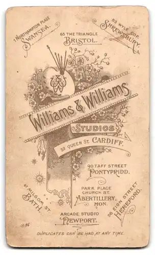 Fotografie Williams & Williams, Cardiff, Queen St. 53, Dame mit dunklen Haaren in schwarzem Kleid