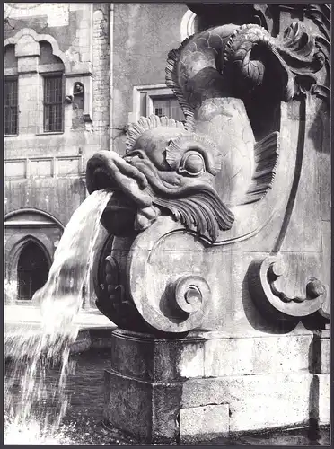 Fotografie Albin Müller, Hamburg, unbekannter Ort, Brunnen mit Fisch-Wasserspeier, Grossformat 28 x 39cm