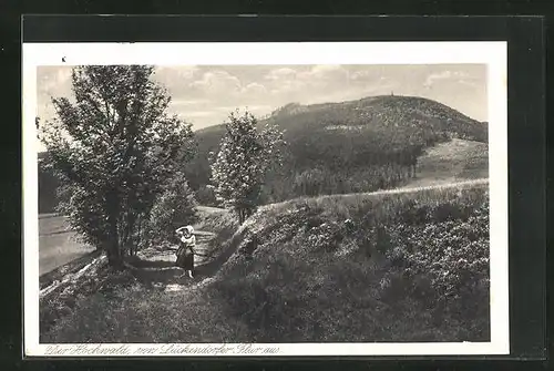 AK Oybin, Hochwald von Lückendorfer Flur aus