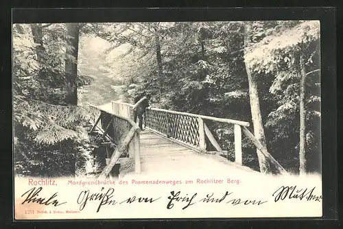 AK Rochlitz, Mordgrundbrücke des Promenadenweges am Rochlitzer Berg