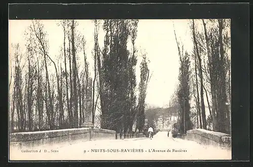 AK Nuits-sous-Ravières, L`Avenue de Ravières