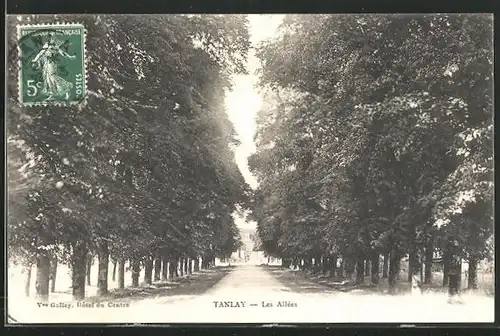 AK Tanlay, Les Allées