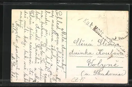 AK Plzen, Celkový pohled